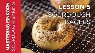 Einkorn Sourdough Bagels  Mastering Einkorn Sourdough Baking Lesson 5 [upl. by Anilem729]