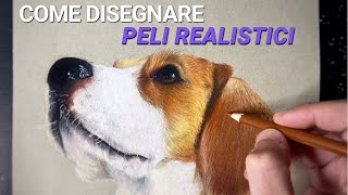 Come disegnare UN CANE REALISTICO  Incredibile TUTORIAL [upl. by Vergne819]