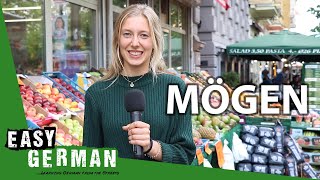 Irregular Verbs Mögen  Super Easy German 103 [upl. by Corrianne]