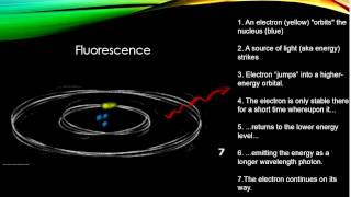 Luminescence [upl. by Doble]