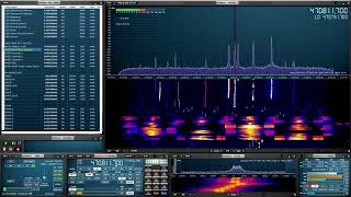 Announcing the RSP1A [upl. by Ardnala]