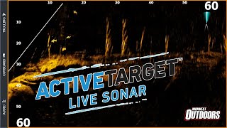 Lowrance Active Target Overview [upl. by Thirza843]