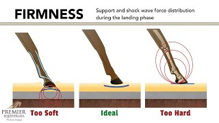 How Riding Arena Surfaces Affect Horse Biomechanics [upl. by Mij]