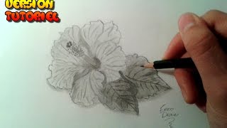 Comment dessiner une fleur Tutoriel [upl. by Leander]