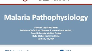 Malaria Pathophysiology by Steve Taylor Duke Global Health Institute [upl. by Denis]