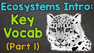 Ecosystems Vocabulary Part 1  Ecosystems Introduction  Science with Mr J [upl. by Mariken601]