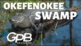 Okefenokee Swamp  Georgias Physical Features [upl. by Durr]