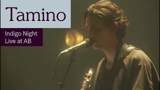 Tamino  Indigo Night Live at AB  Ancienne Belgique [upl. by Kerat]