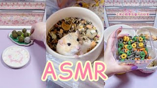 ASMR  HamppyHamster [upl. by Timmons23]