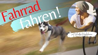 Fahrrad fahren mit dem Hund für Anfänger ProfiTippsSchritt für Schritt erklärt [upl. by Eniledgam70]