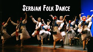 Serbian Folk Dance  The Tamburitzans [upl. by Airemat]