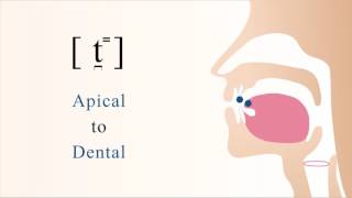 t̪⁼  unvoiced unaspirated apical dental stop [upl. by Evers349]