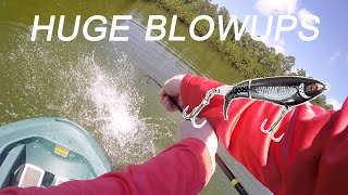 INSANE Whopper Plopper Bass Fishing BLOWUPS [upl. by Acilgna]