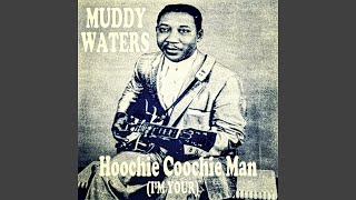 Hoochie Coochie Man Im Your [upl. by Mushro785]