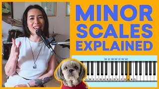 Minor Scales Explained in 8 Minutes [upl. by Yvad]