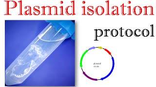 Plasmid isolation protocol [upl. by Sabsay]