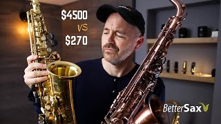 Cheapest Sax on Amazon VS My Professional Alto Saxophone [upl. by Adnohsed346]