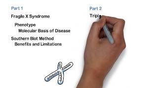 Repeat Expansion Diagnostic Techniques Part 1 Southern Blot [upl. by Alliuqal]