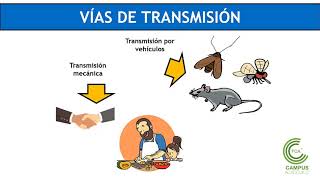 Microbiología de los Alimentos Parte 1 [upl. by Allesor]