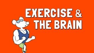 Exercise and the Brain [upl. by Aicsile]