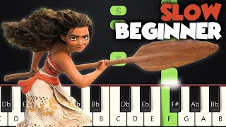 How Far Ill Go  Moana  SLOW BEGINNER PIANO TUTORIAL  SHEET MUSIC by Betacustic [upl. by Thetis]