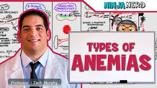 Hematology  Types of Anemias [upl. by Adolph]