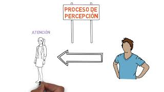 Sensación y Percepción [upl. by Airaet370]