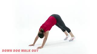 Down Dog WalkOut—Swimmer’s Strength Workout [upl. by Gabrielle]