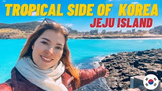 ULTIMATE 2 days JEJU ISLAND itinerary [upl. by Aiuhsoj]