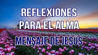 REFLEXIONES PARA EL ALMA  MENSAJE DE JESÚS [upl. by Yrogerg]