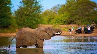 nThambo Tree Camp  Kruger Safari Lodge [upl. by Leihcim272]