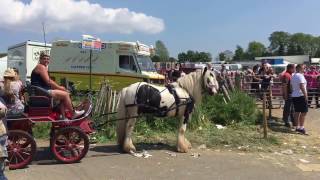 Appleby Horse Fair  Appleby Cumbria [upl. by Nimajaneb]