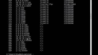 How to Use the Windows netstat Command to Discover Open and Connected Network Ports [upl. by Marcellina314]