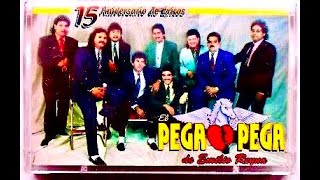 El pega pega 15 exitos Regrabados vol 1 CD completo [upl. by Natal696]