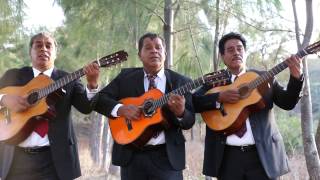 Trio Hermanos Torres  Mis Gavillas Video Oficial [upl. by Zilada]