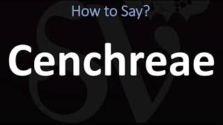 How to Pronounce Cenchreae CORRECTLY [upl. by Davina41]