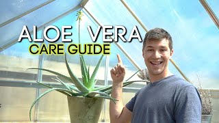 Complete Care Guide for ALOE VERA [upl. by Friederike]