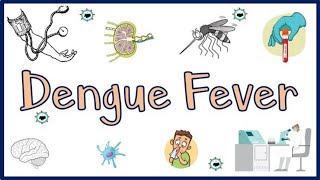 Dengue  what you must do in your neighborhood [upl. by Renault]