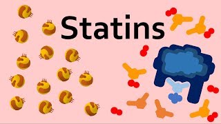 Statins and Cholesterol [upl. by Yert]