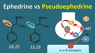 Ephedrine vs Pseudoephedrine  Similarities and differences [upl. by Ayhtnic]