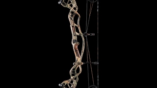 Hoyt Carbon Defiant Turbo compound Bow review [upl. by Devin346]