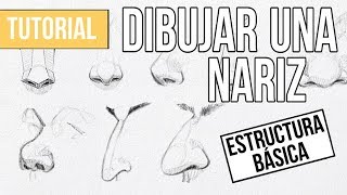 Cómo DIBUJAR cualquier NARIZ paso a paso  MUY FACIL [upl. by Neo534]