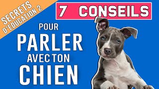 7 conseils pour PARLER avec TON CHIEN [upl. by Udelle]