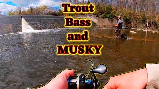 Pa Spring Fishing for TROUT BASS and MUSKY [upl. by Juanita]