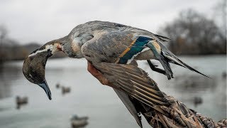 Duck Hunting my Fishing Pond Opening Day [upl. by Hendricks]