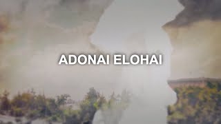 Adonai Elohai Lyric Video Paul Wilbur  Official [upl. by Wattenberg]