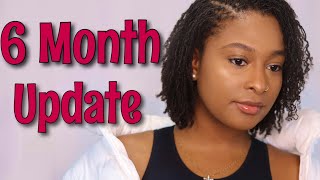 Sisterlocks on Thin Hair  6 Month Update [upl. by Adnaloy]