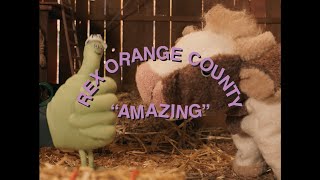 Rex Orange County  AMAZING Official Video [upl. by Atsirhcal]