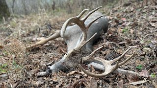 Deer Hunting in Middle Tennessee [upl. by Joelly]