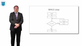 Pseudocode Iteration WHILE loops [upl. by Annovad640]